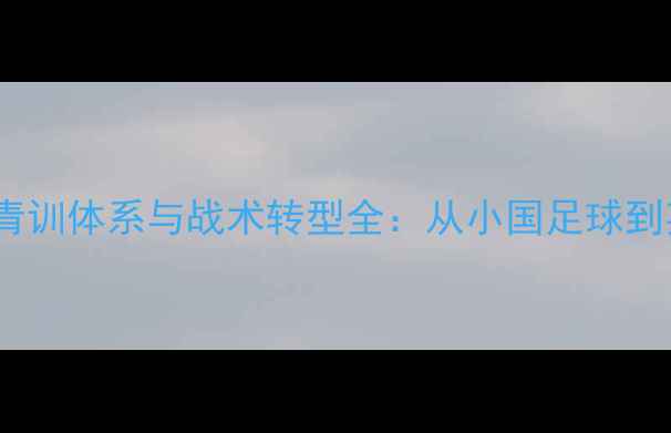 图片 热刺队冰岛球员青训体系与战术转型全：从小国足球到英超劲旅的启示2