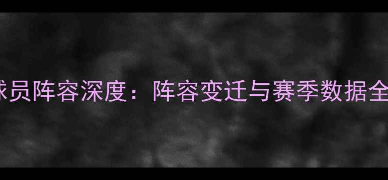 图片 热火球员阵容深度：阵容变迁与赛季数据全回顾1