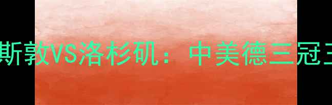 图片 焦点对决休斯敦VS洛杉矶：中美德三冠王争霸战全2