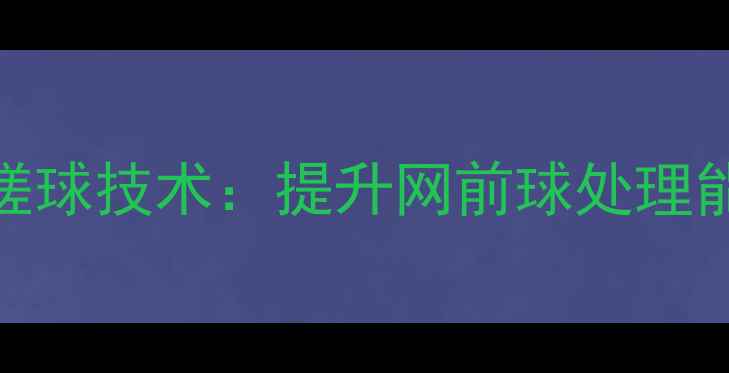 图片 熊国宝羽毛球搓球技术：提升网前球处理能力的实战指南