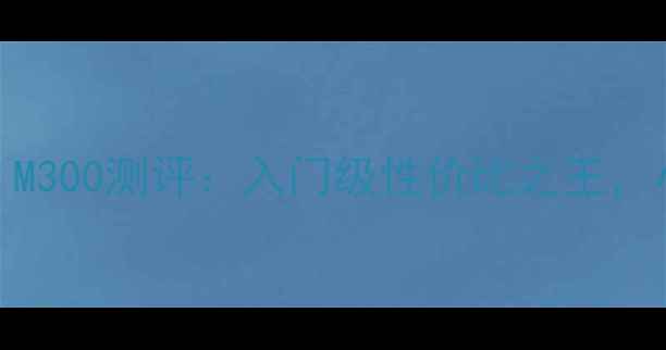 图片 爆款羽毛球拍推荐！M300测评：入门级性价比之王，小白必入的实战利器