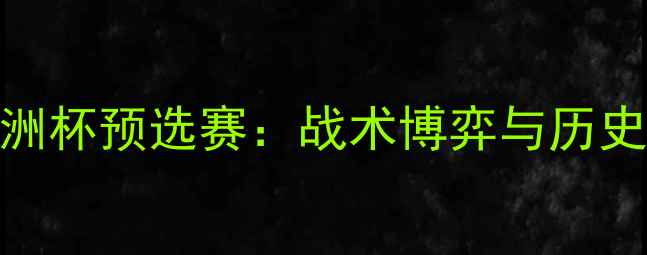图片 爱尔兰vs波黑欧洲杯预选赛：战术博弈与历史恩怨的巅峰对决