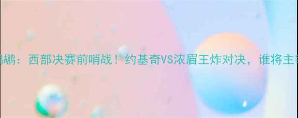 图片 犹他爵士vs鹈鹕：西部决赛前哨战！约基奇VS浓眉王炸对决，谁将主宰攻防两端？