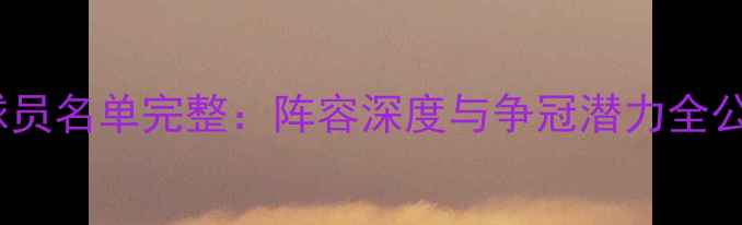 图片 猛龙球员名单完整：阵容深度与争冠潜力全公开！1