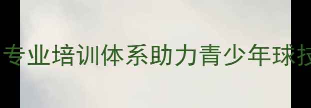图片 玉泉森信乒乓球：专业培训体系助力青少年球技提升与赛事突破1