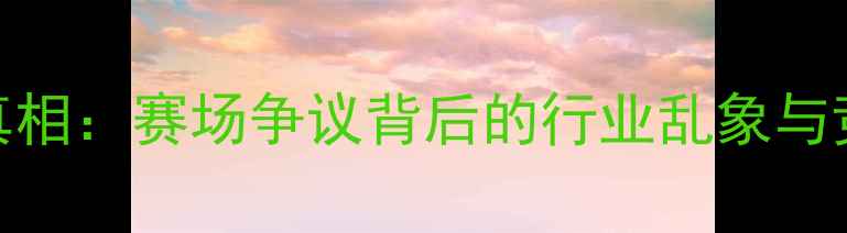 图片 王战军比赛真相：赛场争议背后的行业乱象与竞技精神反思