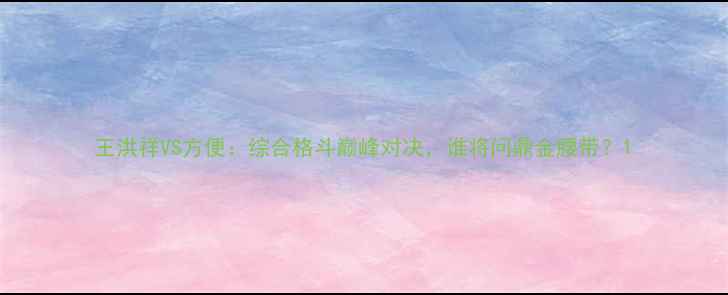 图片 王洪祥VS方便：综合格斗巅峰对决，谁将问鼎金腰带？1