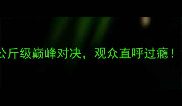 图片 王洪祥最新比赛战报：72公斤级巅峰对决，观众直呼过瘾！深度技术细节与赛事影响2