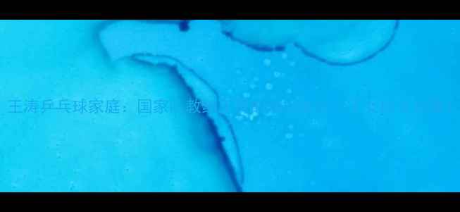 图片 王涛乒乓球家庭：国家队教练王涛的婚姻生活与子女成长故事1