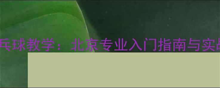 图片 王皓乒乓球教学：北京专业入门指南与实战技巧1