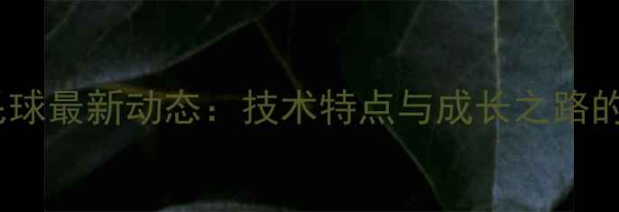 图片 王祉怡羽毛球最新动态：技术特点与成长之路的深度解读2