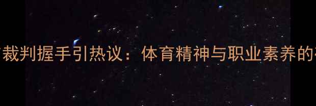 图片 球员拒绝与裁判握手引热议：体育精神与职业素养的碰撞与反思