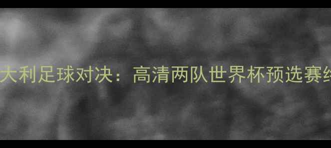 图片 瑞典vs意大利足球对决：高清两队世界杯预选赛终极较量1