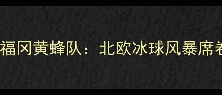 图片 瑞典天鹅队VS日本福冈黄蜂队：北欧冰球风暴席卷东亚的巅峰对决2
