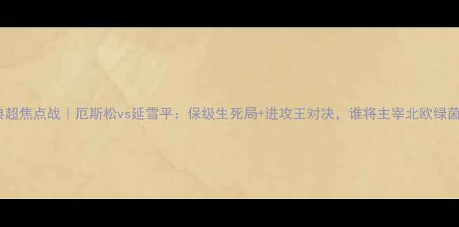 图片 瑞典超焦点战｜厄斯松vs延雪平：保级生死局+进攻王对决，谁将主宰北欧绿茵？1