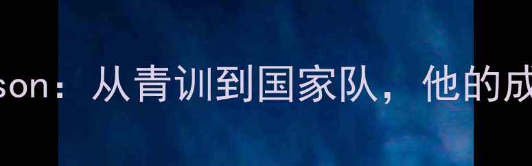 图片 瑞典足球新星Larsson：从青训到国家队，他的成长之路与未来展望