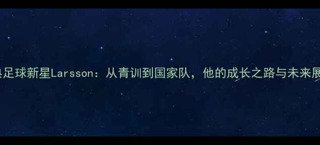 图片 瑞典足球新星Larsson：从青训到国家队，他的成长之路与未来展望1