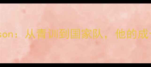 图片 瑞典足球新星Larsson：从青训到国家队，他的成长之路与未来展望2