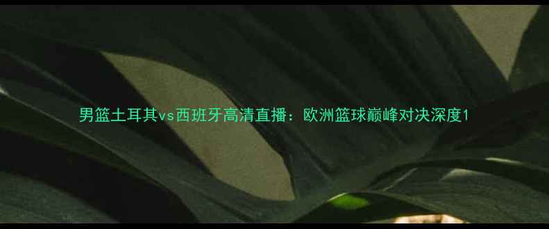 图片 男篮土耳其vs西班牙高清直播：欧洲篮球巅峰对决深度1