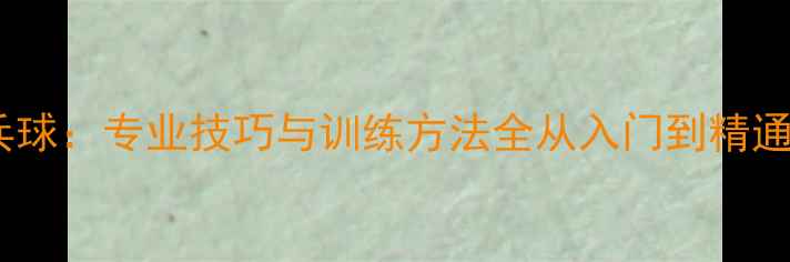 图片 皓令天下乒乓球：专业技巧与训练方法全从入门到精通的实战指南2