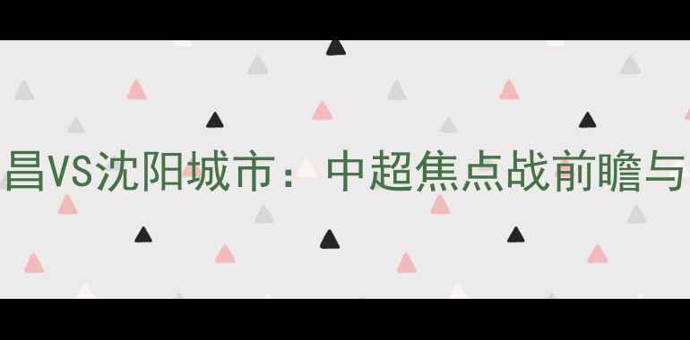 图片 石家庄永昌VS沈阳城市：中超焦点战前瞻与赛事分析