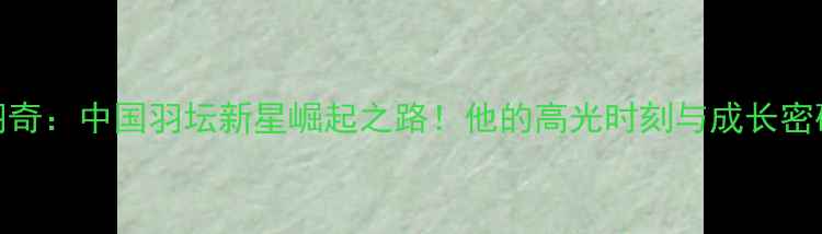 图片 石羽奇：中国羽坛新星崛起之路！他的高光时刻与成长密码全