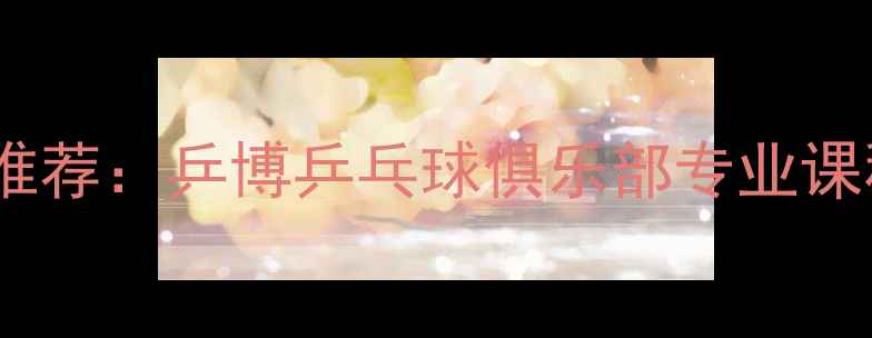 图片 福州乒乓球培训推荐：乒博乒乓球俱乐部专业课程与赛事资源全1