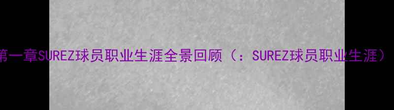 图片 第一章SUREZ球员职业生涯全景回顾（：SUREZ球员职业生涯）1