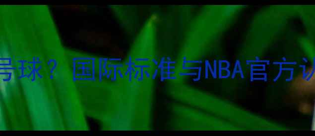 图片 篮球比赛用球是几号球？国际标准与NBA官方认证的5大选购要点1