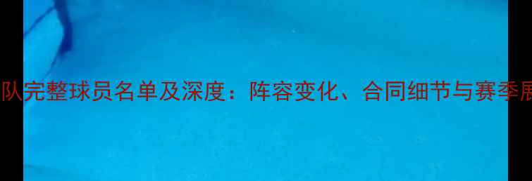 图片 篮网队完整球员名单及深度：阵容变化、合同细节与赛季展望1