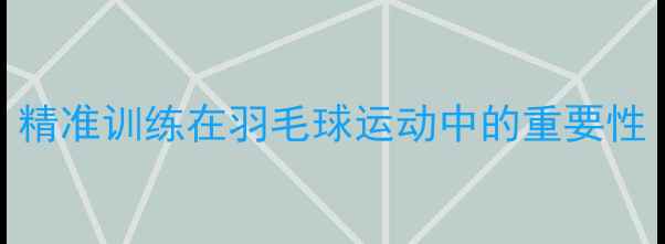图片 精准训练在羽毛球运动中的重要性