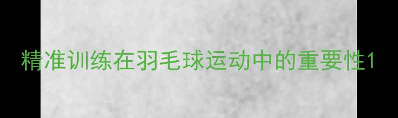图片 精准训练在羽毛球运动中的重要性1