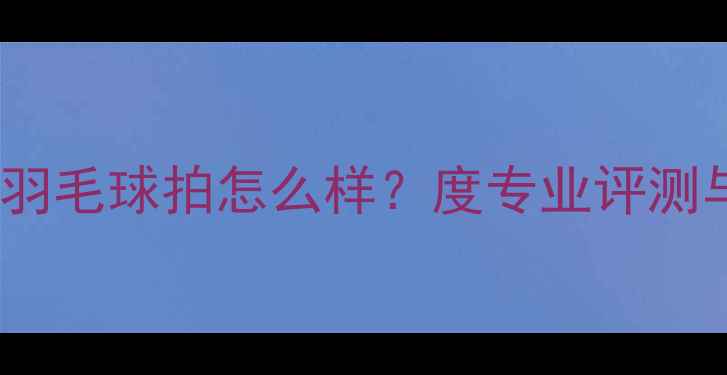 图片 红双喜101羽毛球拍怎么样？度专业评测与选购指南