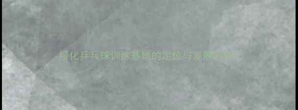 图片 绥化乒乓球训练基地的定位与发展历程1