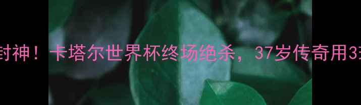 图片 罗纳尔多最后一战封神！卡塔尔世界杯终场绝杀，37岁传奇用3球2助攻谢幕绿茵场