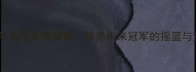 图片 美国青少年高尔夫锦标赛：培养未来冠军的摇篮与竞技舞台1