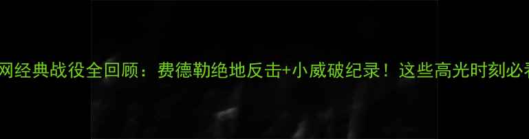 图片 美网经典战役全回顾：费德勒绝地反击+小威破纪录！这些高光时刻必看2
