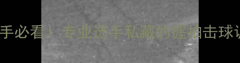 图片 羽毛球24磅数新手必看！专业选手私藏的握拍击球调线技巧大公开2