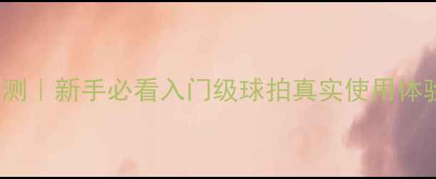 图片 羽毛球CT1530评测｜新手必看入门级球拍真实使用体验！附购买指南1