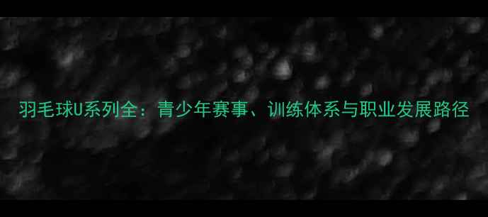 图片 羽毛球U系列全：青少年赛事、训练体系与职业发展路径