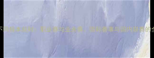 图片 羽毛球不同版本规则：职业赛与业余赛、国际赛事与国内联赛的全面对比