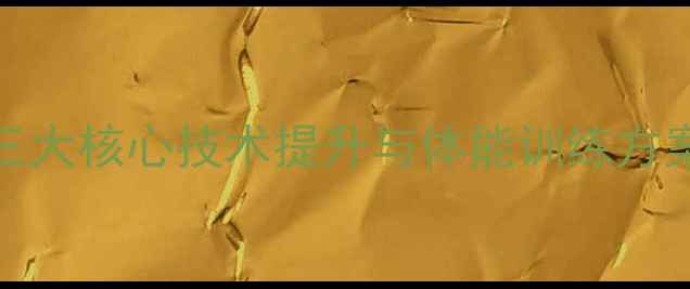 图片 羽毛球专家实战02：三大核心技术提升与体能训练方案（附全年训练计划）