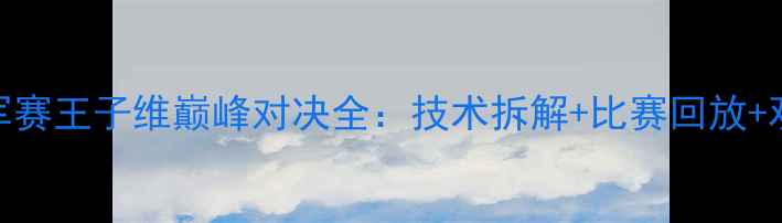 图片 羽毛球世界冠军赛王子维巅峰对决全：技术拆解+比赛回放+观众热议TOP101