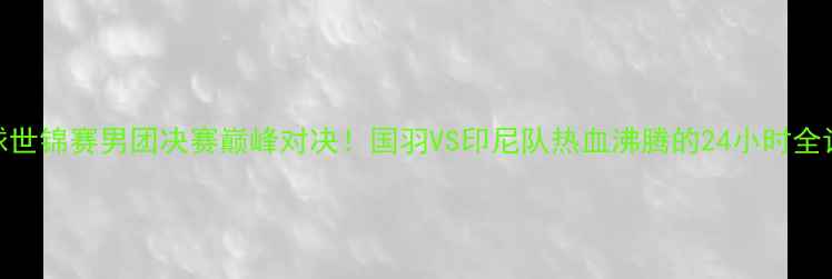 图片 羽毛球世锦赛男团决赛巅峰对决！国羽VS印尼队热血沸腾的24小时全记录🏆