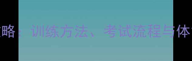图片 羽毛球二级运动员认证全攻略：训练方法、考试流程与体能提升指南（附备考资料）