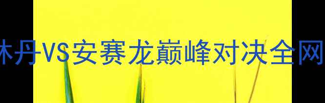 图片 羽毛球云顶世纪之战：林丹VS安赛龙巅峰对决全网直播引爆全民观赛热潮2