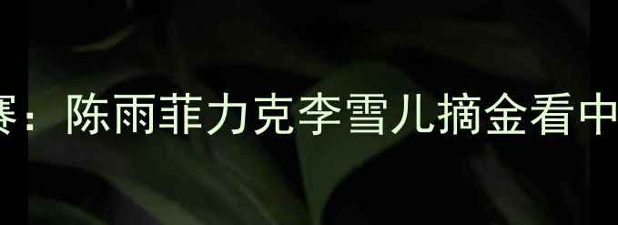 图片 羽毛球亚运会女单决赛：陈雨菲力克李雪儿摘金看中国羽坛新星崛起之路1