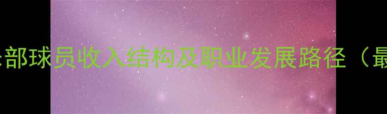 图片 羽毛球俱乐部球员收入结构及职业发展路径（最新数据）2