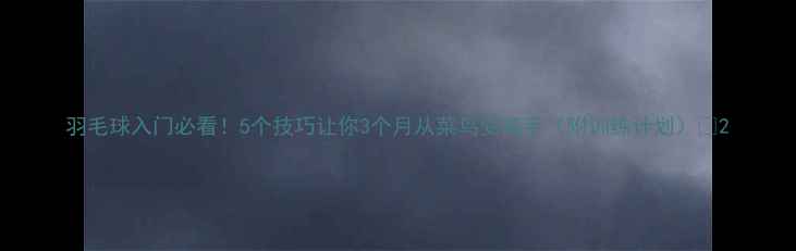 图片 羽毛球入门必看！5个技巧让你3个月从菜鸟变高手（附训练计划）✨2