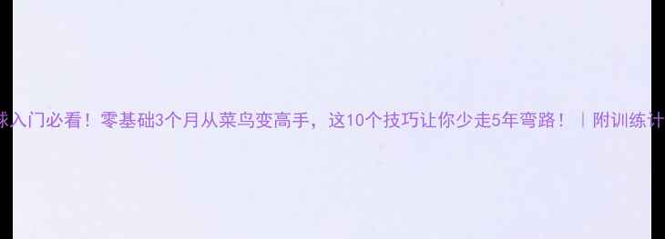 图片 羽毛球入门必看！零基础3个月从菜鸟变高手，这10个技巧让你少走5年弯路！｜附训练计划表2